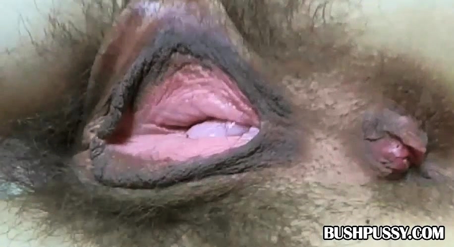 Nasty Hairy Pussy And Ass - Free Mobile Porn - Ugly Amateur With Very Hairy Pussy Lips And Asshole -  3182433 - IcePorn.com